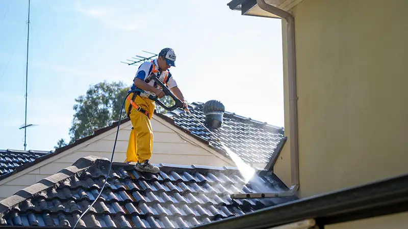 Roof-painting Roof painting